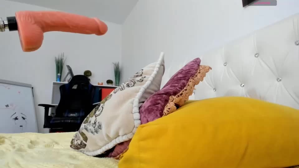 _timeless_paradox Webcam 2023-08-30