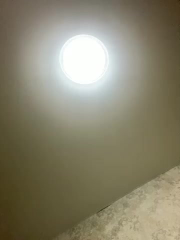 Aloeloea Webcam 2023-10-18