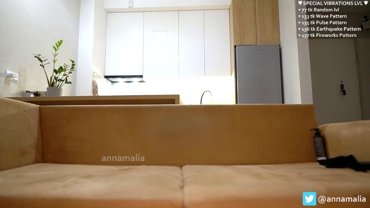 Annamalia Webcam 2024-02-11