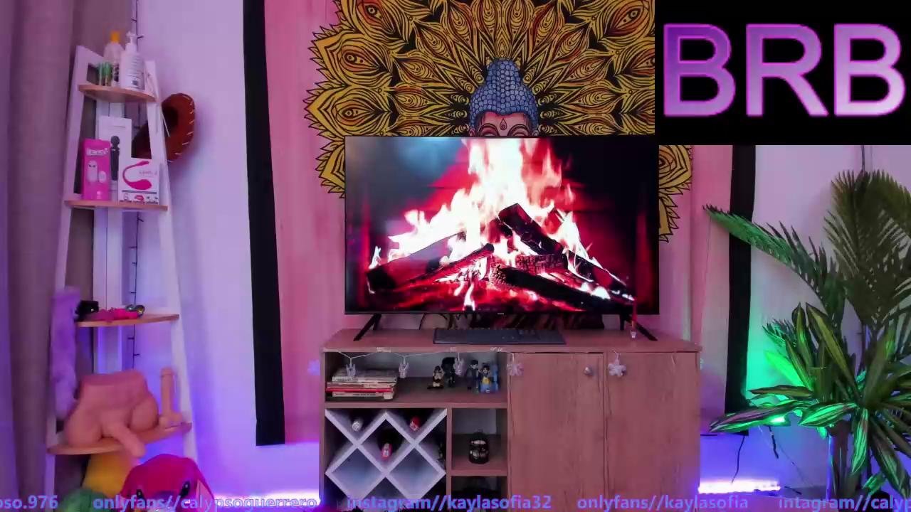 Calypso_and_ge1 Webcam 2024-01-31