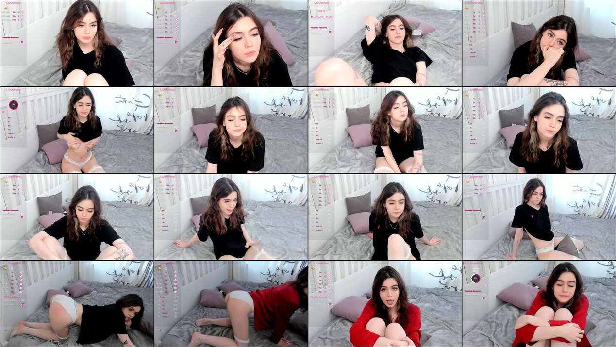 Connieambes Webcam 2023-11-08