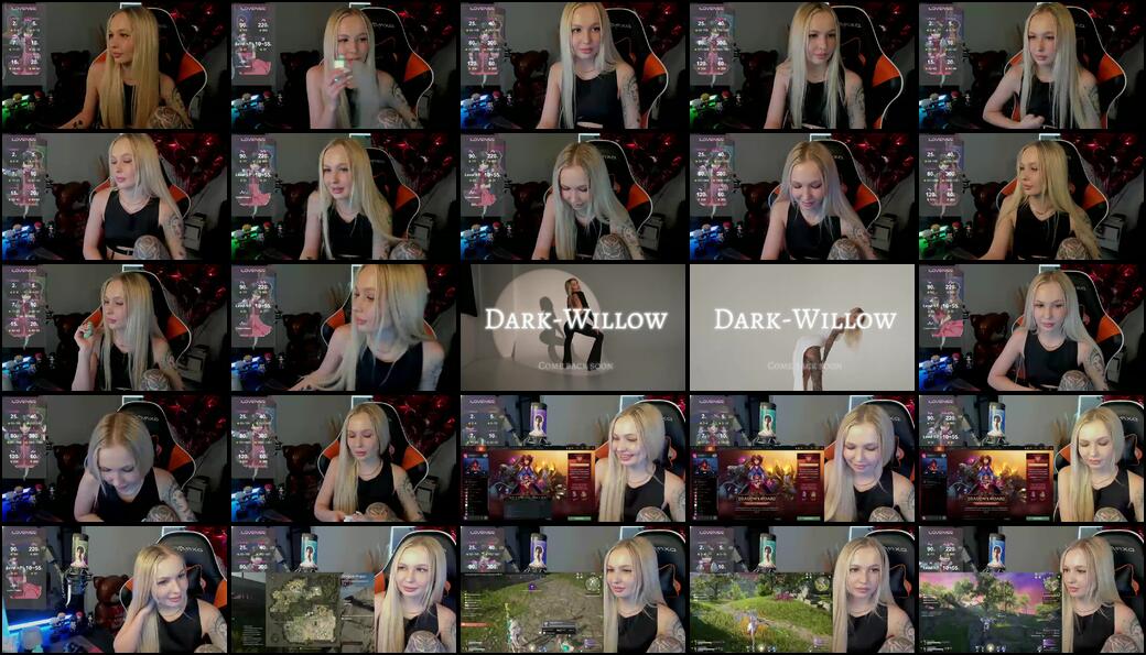 Dark-Willow Webcam 2024-03-01