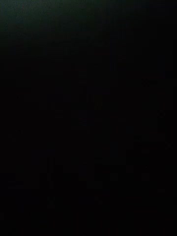 DmitryAndKarina Webcam 2023-10-13