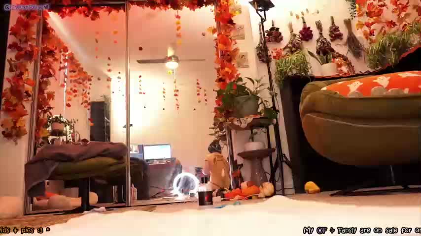 Evelynpiers Webcam 2023-10-24