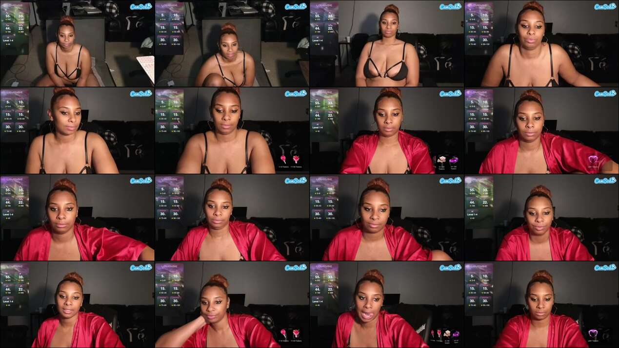 Foxx-e Webcam 2024-01-15