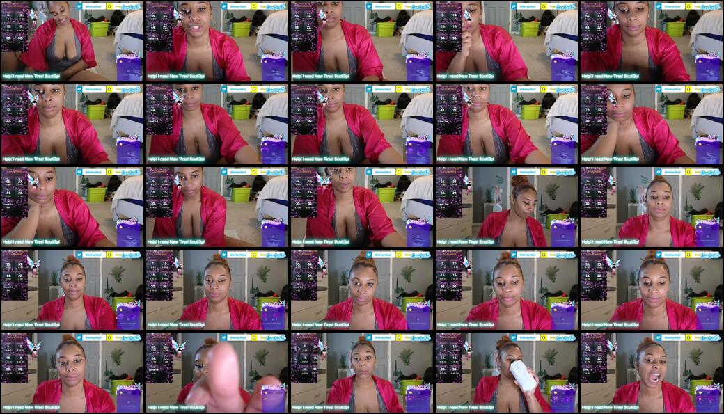 Foxx-e Webcam 2024-01-16