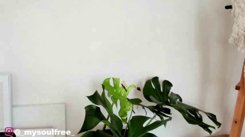 Grettabenett_ Webcam 2023-11-28