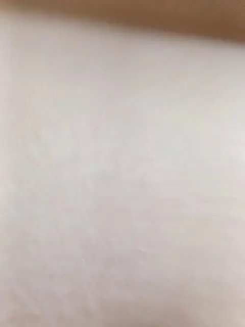 HairyCrotch Webcam 2023-11-25