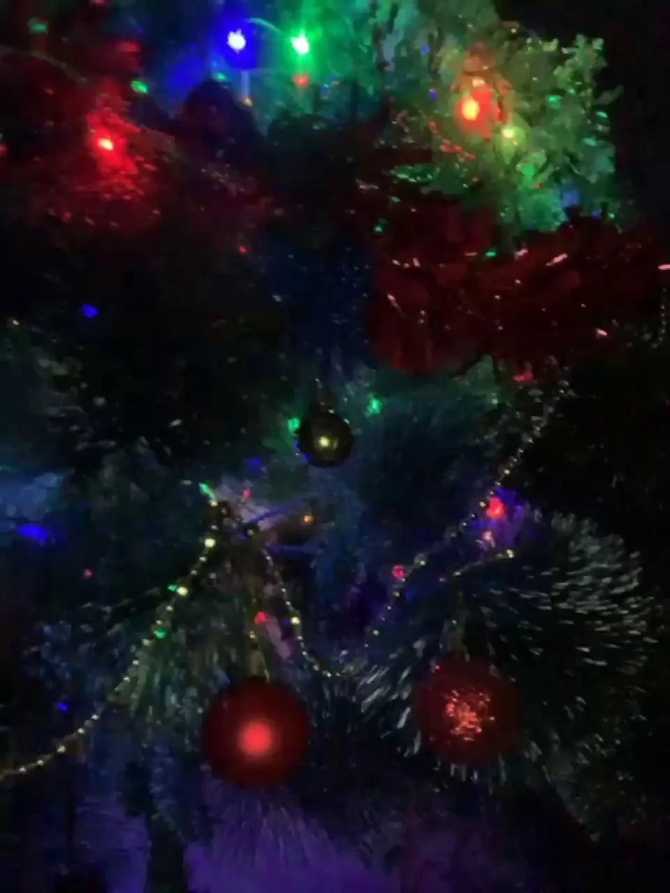 Kitana-mk1 Webcam 2023-12-26