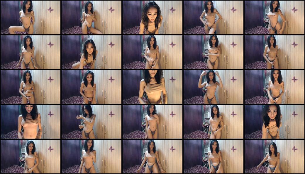 Kittykatarena Webcam 2024-03-12