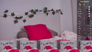 Kittyloffe Webcam 2023-09-17