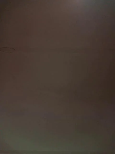 LisaVsVolk Webcam 2024-01-21