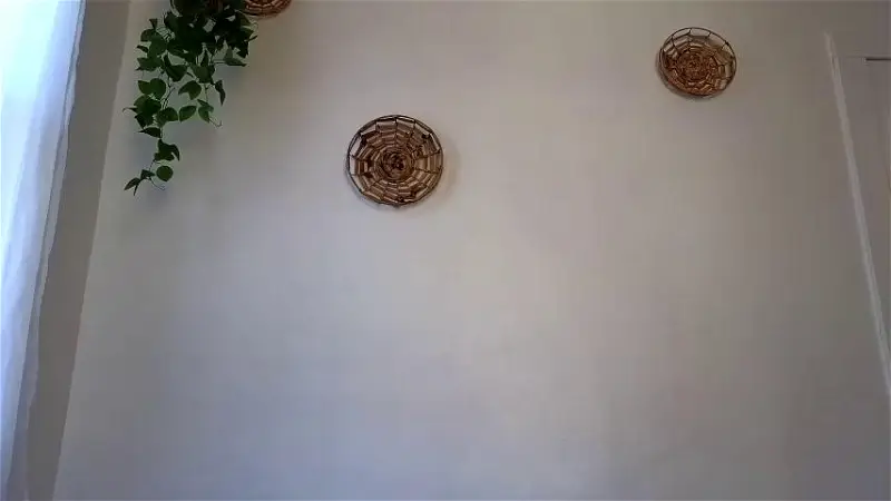 Littlegreekflower Webcam 2023-11-25