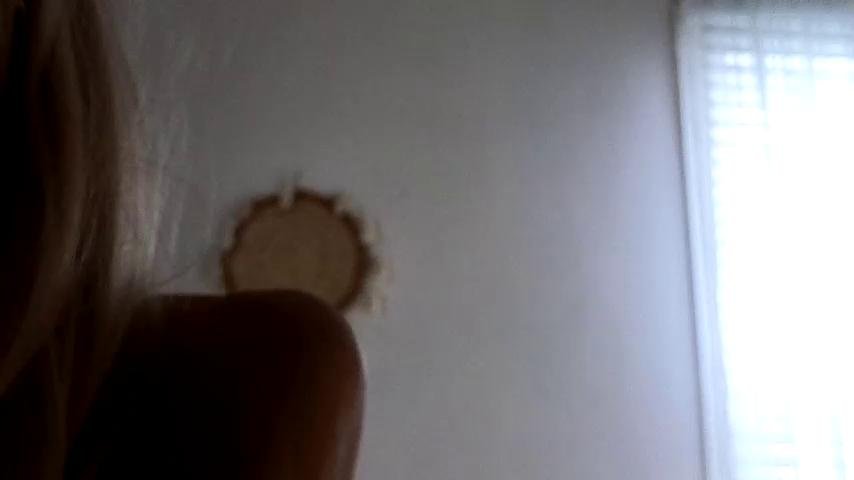 Littlegreekflower Webcam 2023-11-26
