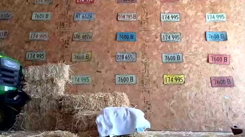 Littlegreekflower Webcam 2023-09-30