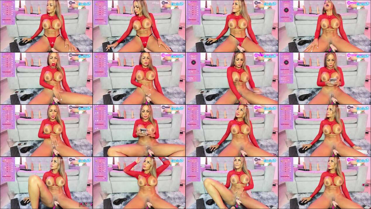 Miawilddoll Webcam 2024-03-18