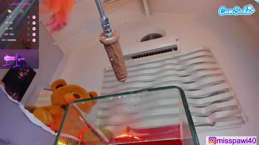 Pawi05 Webcam 2023-10-24