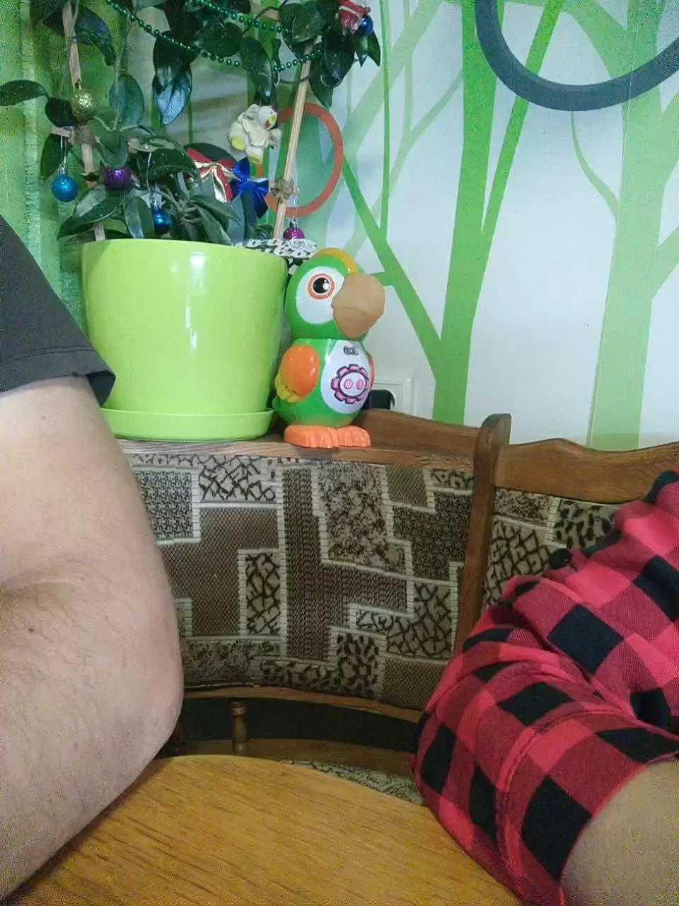 Perepyganue Webcam 2024-01-21