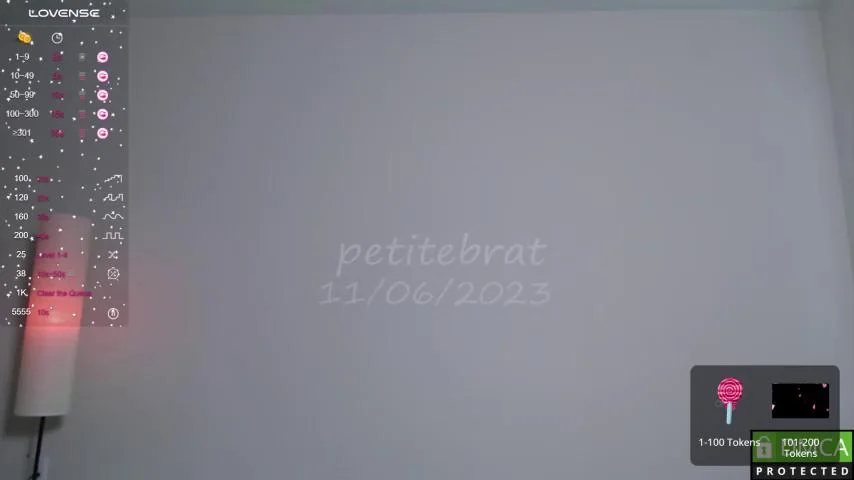 Petitebrat Webcam 2023-11-07