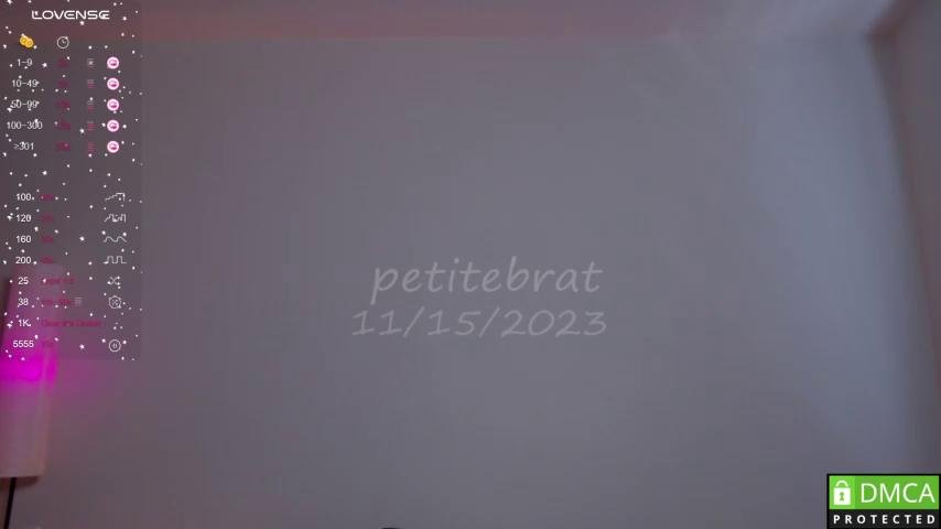 Petitebrat Webcam 2023-11-15