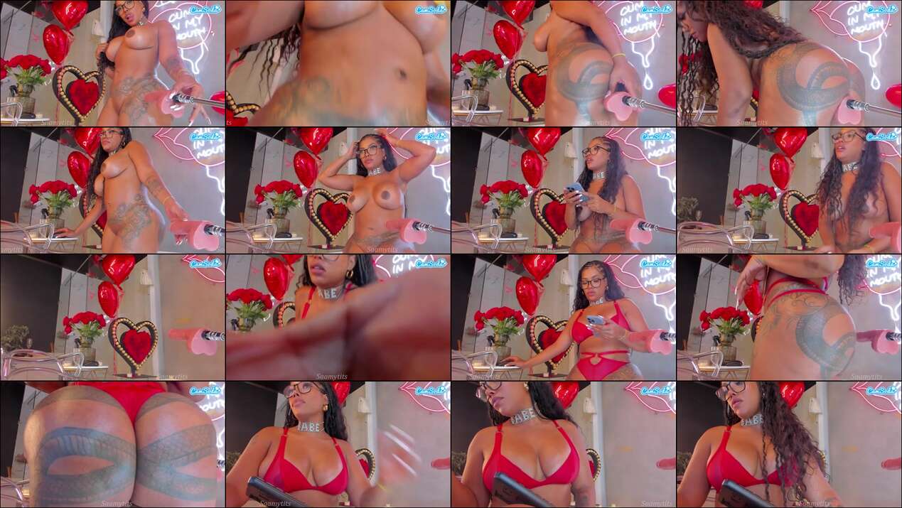 Saamytits Webcam 2024-02-15