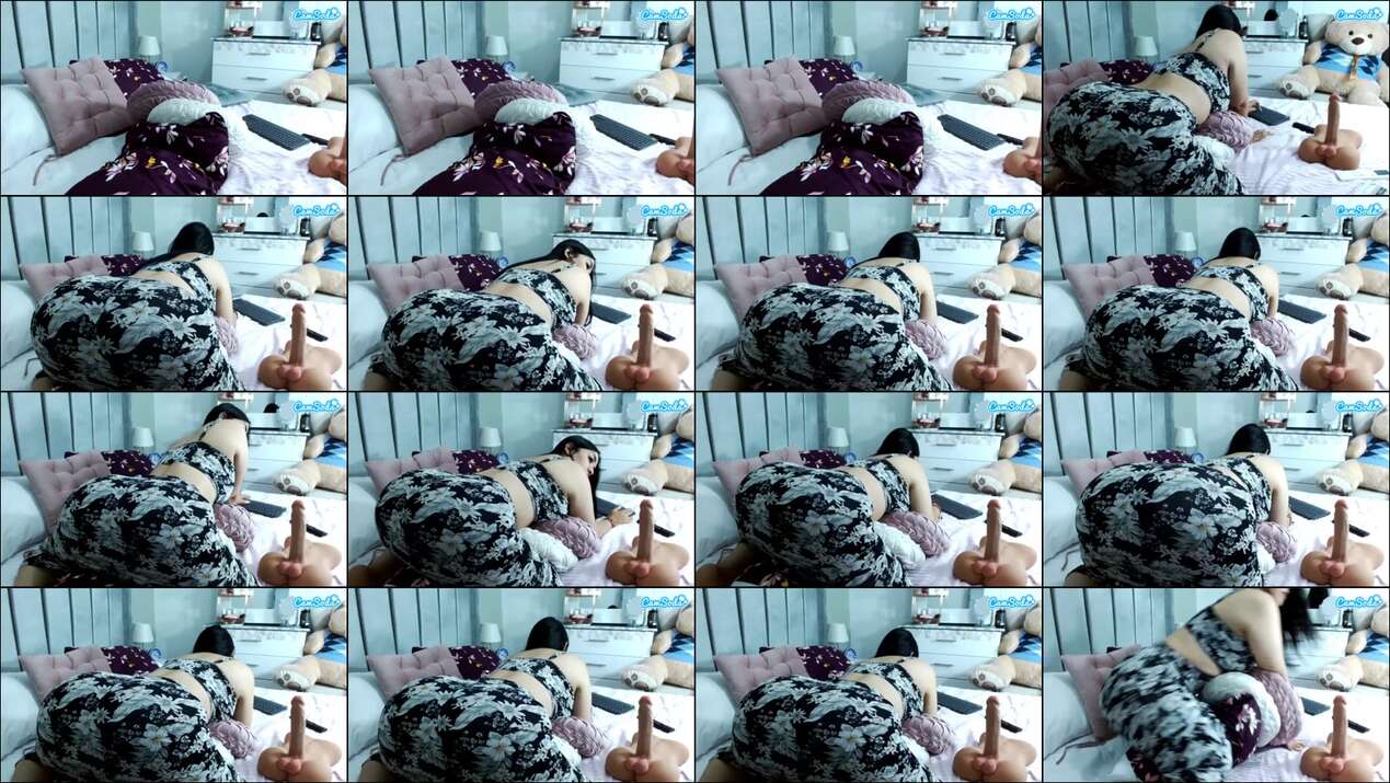 Sammyboom Webcam 2024-01-05