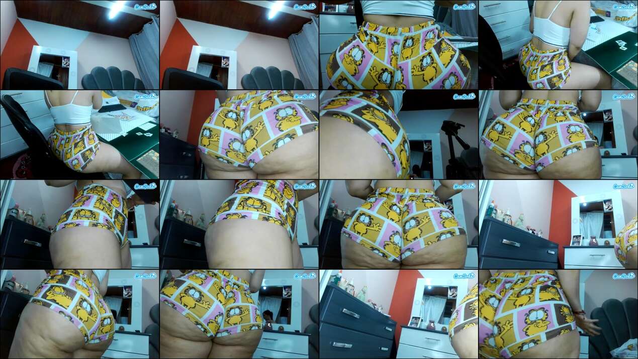 Sammyboom Webcam 2023-10-16