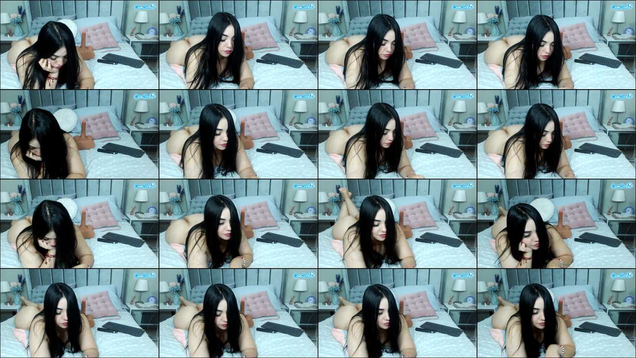 Sammyboom Webcam 2024-01-11