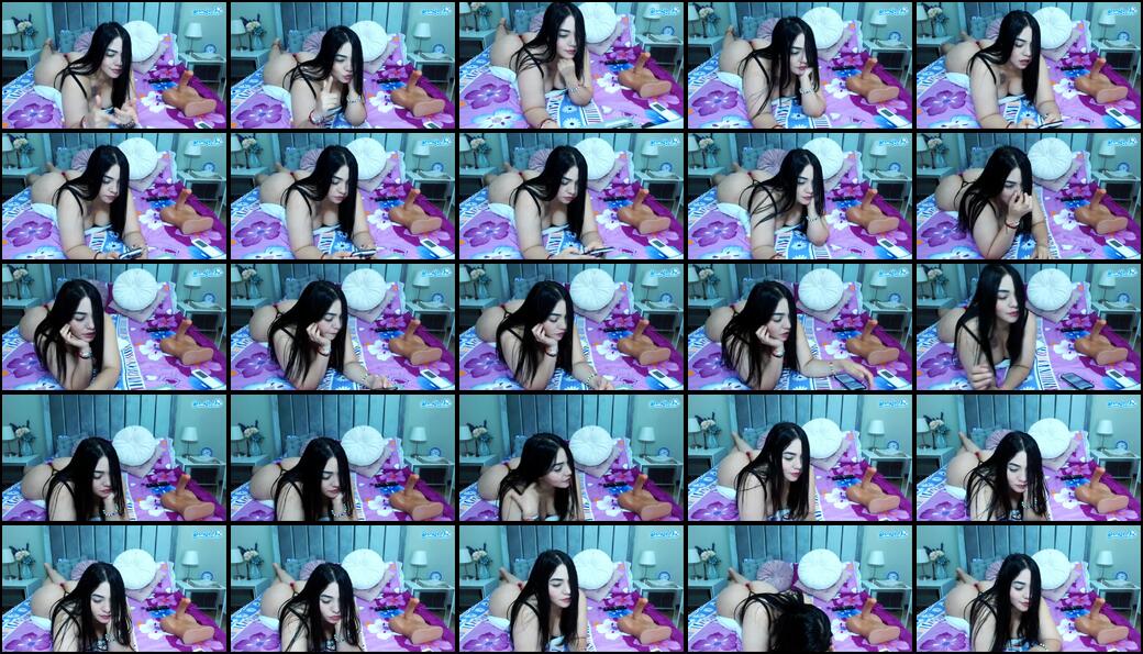 Sammyboom Webcam 2024-02-12