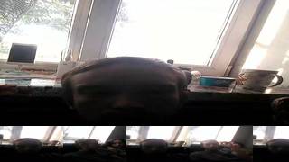 Sanek202109 Webcam 2023-06-09