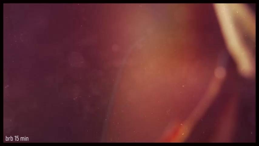 Taanni Webcam 2023-10-02