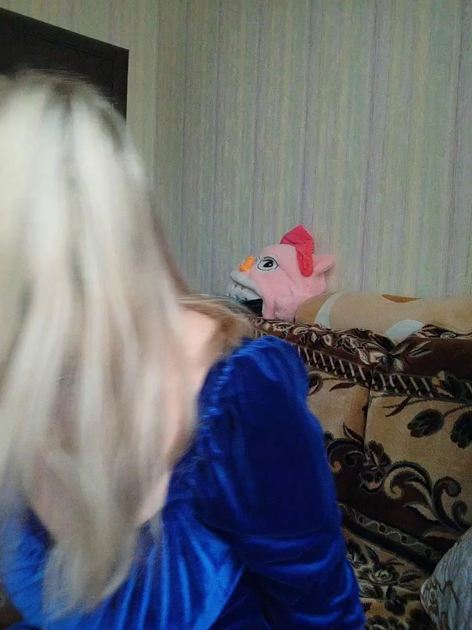 TerriRose Webcam 2024-01-03
