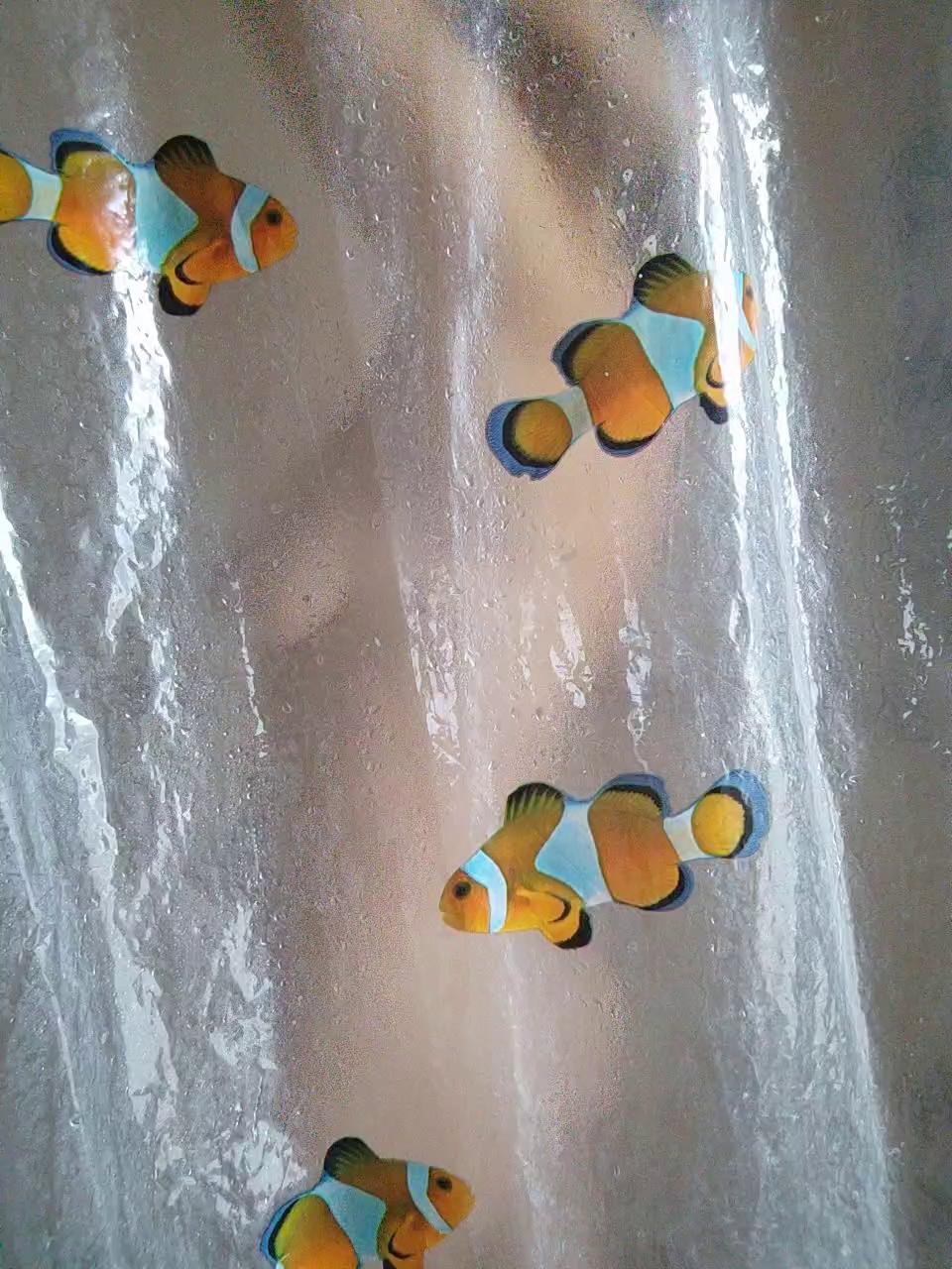 TerriRose Webcam 2024-01-20