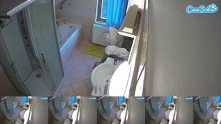 Voyeurcam-julmodels-bath-2nd-2 Webcam 2024-01-16