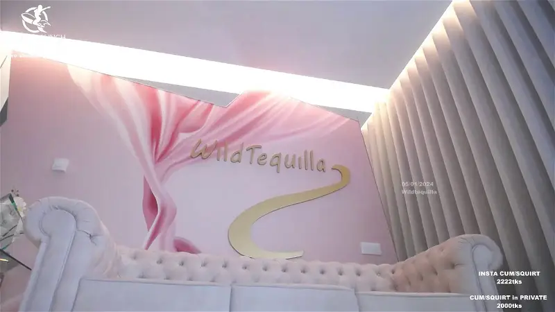 Wildtequilla Webcam 2024-01-06