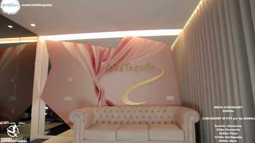 Wildtequilla Webcam 2022-11-29