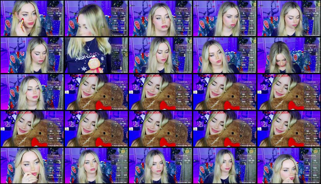 -Ann Webcam 2024-12-26