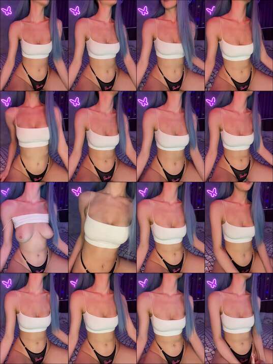 ButttFly Webcam 2024-12-26