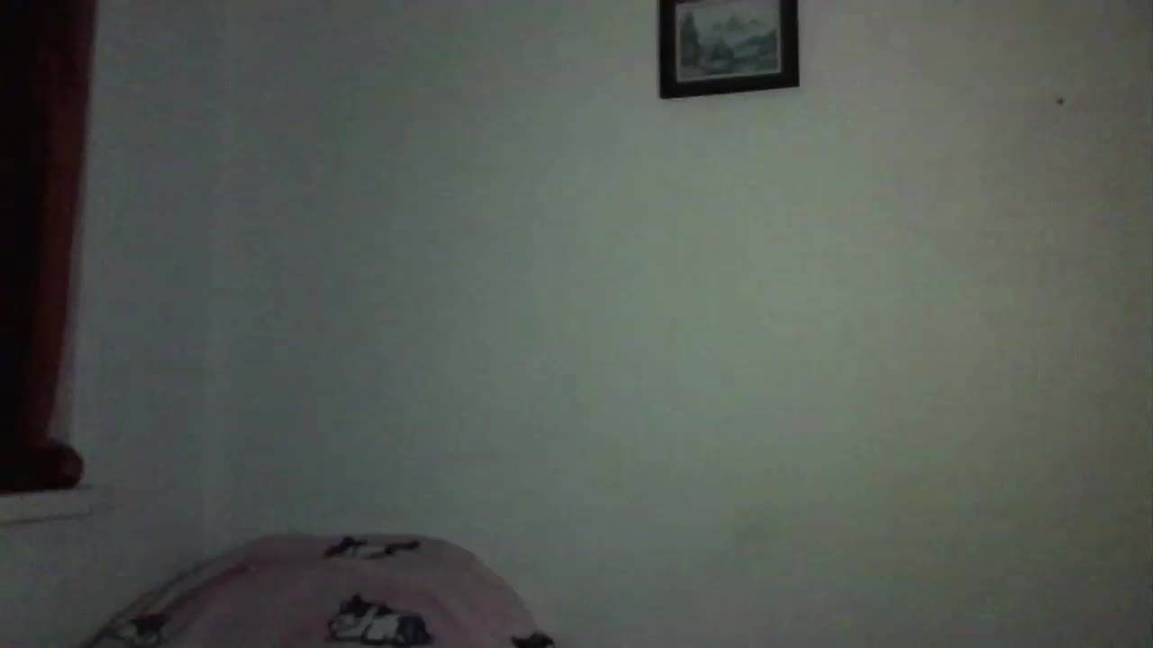 Lovelovely Webcam 2024-12-26