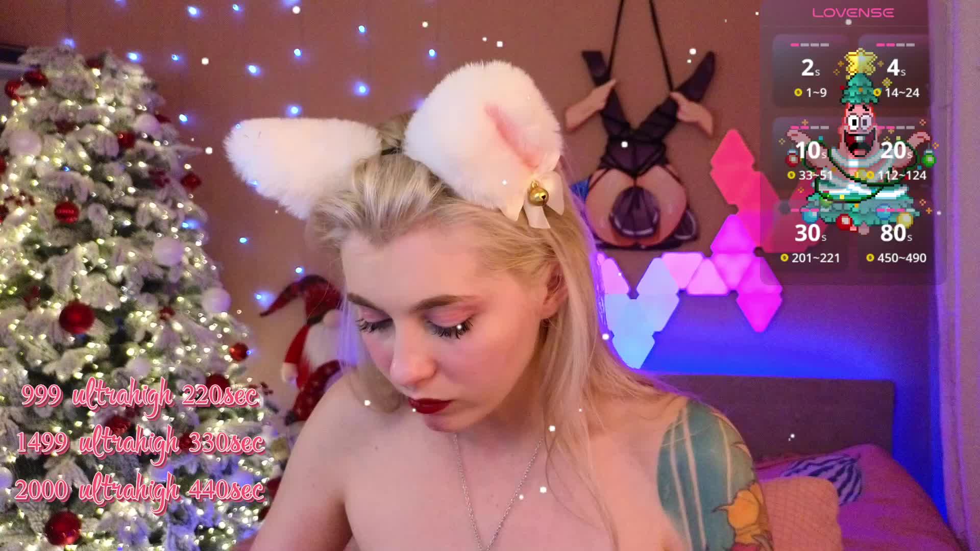 KittyBay Webcam 2024-12-28