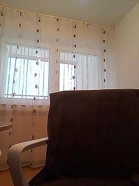 __COVID-19__ Webcam 2025-01-29