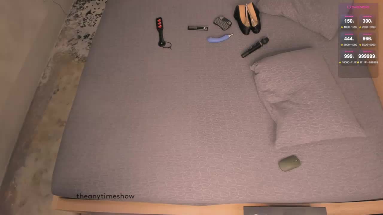 Theanytimeshow Webcam 2025-03-12