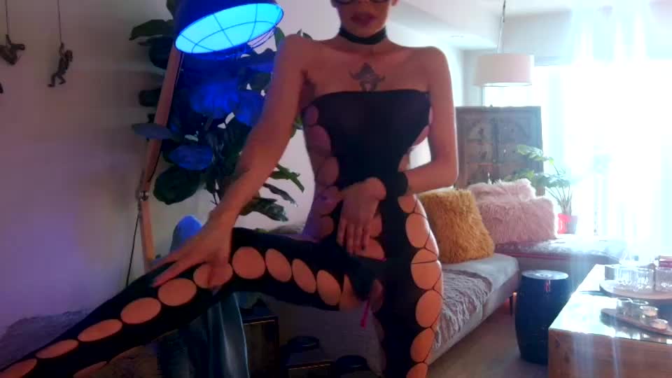 Persianangel Webcam 2025-05-05
